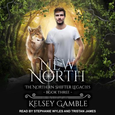 New North by Kelsey Gamble audiobook