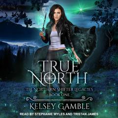 True North by Kelsey Gamble audiobook