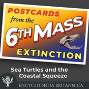 Sea Turtles and the Coastal Squeeze by  John Rafferty audiobook