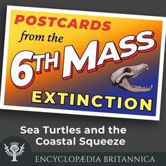 Sea Turtles and the Coastal Squeeze by John Rafferty audiobook