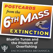 Bluefin Tunas and the Problem of Overfishing by  John Rafferty audiobook