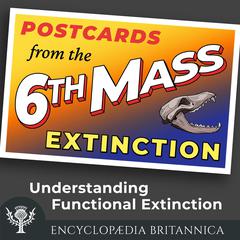 Understanding Functional Extinction by John Rafferty audiobook