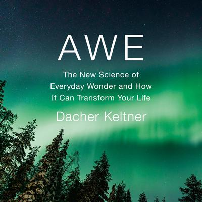 Awe by Dacher Keltner audiobook