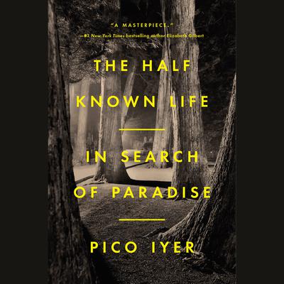 The Half Known Life by Pico Iyer audiobook