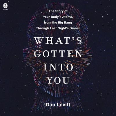 What's Gotten Into You by Dan Levitt audiobook