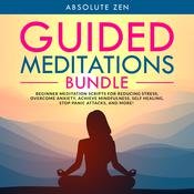 Guided Meditations Bundle: Beginner Meditation Scripts for Reducing Stress, Overcome Anxiety, Achieve Mindfulness, Self Healing, Stop Panic Attacks, and More! by  Absolute Zen audiobook