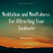 Meditation and Mindfulness for Attracting Your Soulmate by  Todd Perelmuter audiobook