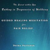 The Secret within You - Bathing in Frequencies of Wellbeing by  Doina Partanen audiobook