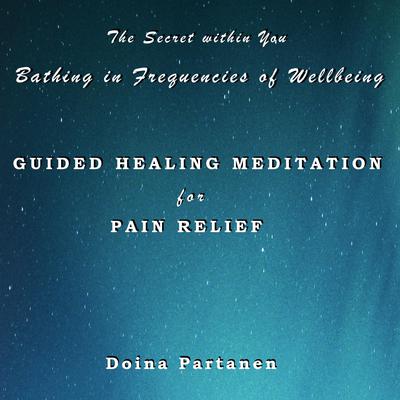 The Secret within You - Bathing in Frequencies of Wellbeing by Doina Partanen audiobook