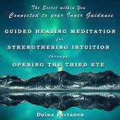 The Secret within You - Connected to Your Inner Guidance by  Doina Partanen audiobook