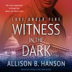 Witness in the Dark by Allison B. Hanson audiobook