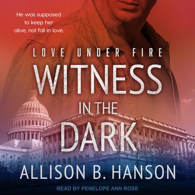 Witness in the Dark by Allison B. Hanson audiobook