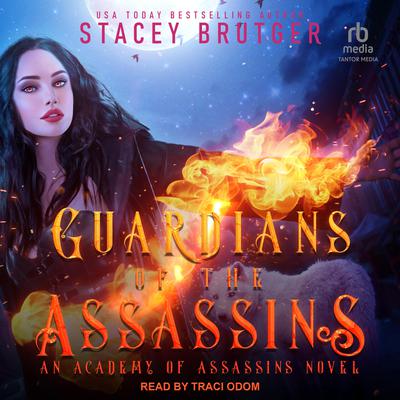 Guardians of the Assassins by Stacey Brutger audiobook