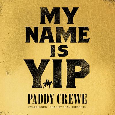 My Name Is Yip by Paddy Crewe audiobook