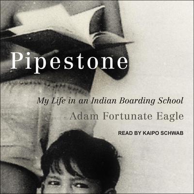 Pipestone by Adam Fortunate Eagle audiobook