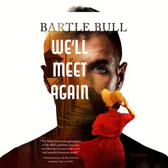 We’ll Meet Again by Bartle Bull audiobook