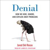 Denial by  Jared Del Rosso audiobook