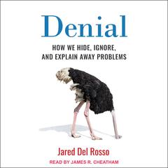 Denial by Jared Del Rosso audiobook
