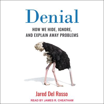 Denial by Jared Del Rosso audiobook