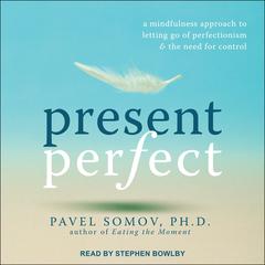Present Perfect by Pavel Somov audiobook