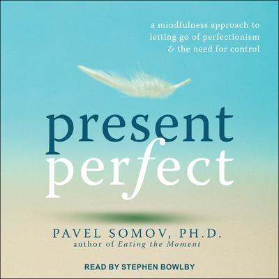 Present Perfect by Pavel Somov audiobook