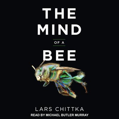 The Mind of a Bee by Lars Chittka audiobook