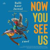 Now You See Us by  Balli Kaur Jaswal audiobook