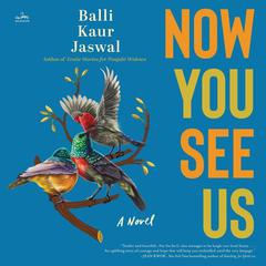 Now You See Us by Balli Kaur Jaswal audiobook