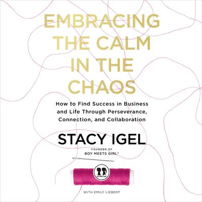 Embracing the Calm in the Chaos by Stacy Igel audiobook