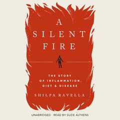 A Silent Fire by Shilpa Ravella audiobook