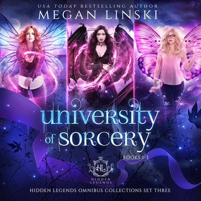 University of Sorcery, Books 1-3 by Megan Linski audiobook