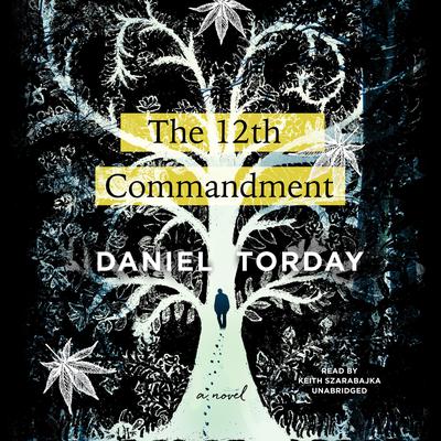 The 12th Commandment by Daniel Torday audiobook