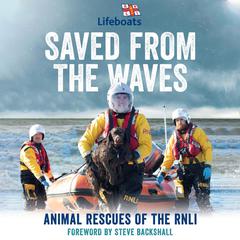 Saved from the Waves by Nikki Croft-Girvan audiobook