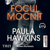 Focul mocnit by  Paula Hawkins audiobook