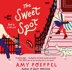 The Sweet Spot by Amy Poeppel audiobook