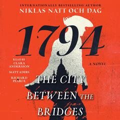 The City Between the Bridges by Niklas Natt och Dag audiobook