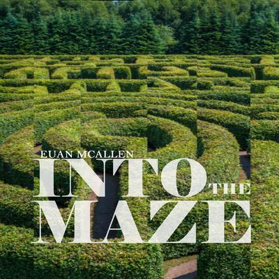 Into the Maze by Euan McAllen audiobook