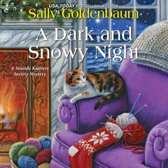 A Dark and Snowy Night by Sally Goldenbaum audiobook