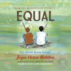 Equal by Joyce Moyer Hostetter audiobook