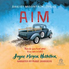 Aim by Joyce Moyer Hostetter audiobook