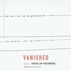 Vanished by Karin Lin-Greenberg audiobook