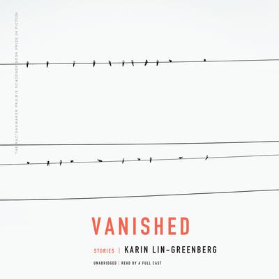 Vanished by Karin Lin-Greenberg audiobook