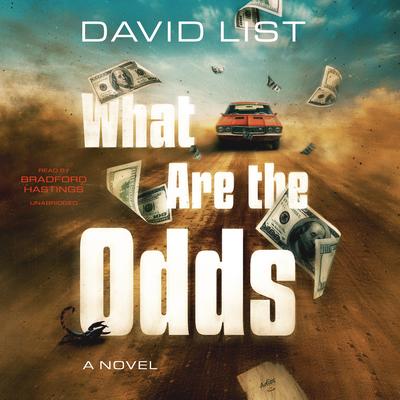 What Are the Odds by David List audiobook