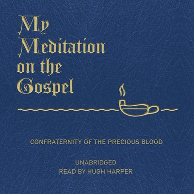 My Meditation on the Gospel by James Sullivan audiobook