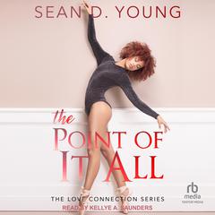 The Point of It All by Sean D. Young audiobook
