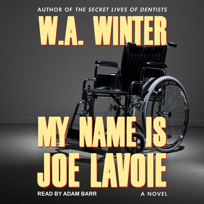 My Name is Joe LaVoie by W.A. Winter audiobook