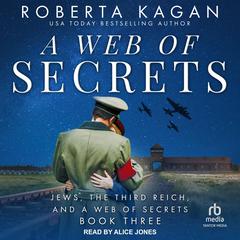 A Web of Secrets by Roberta Kagan audiobook