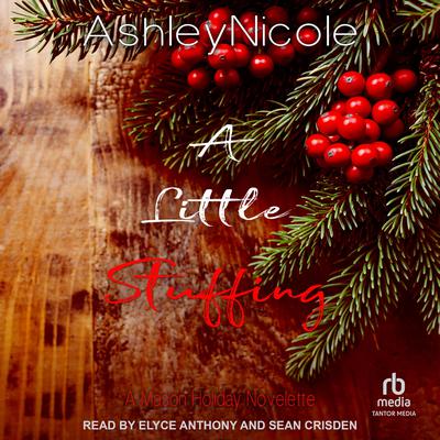 A Little Stuffing by AshleyNicole  audiobook