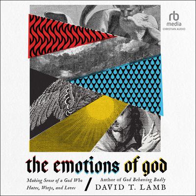 The Emotions of God by David T. Lamb audiobook