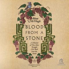 Blood from a Stone by Adam S. McHugh audiobook
